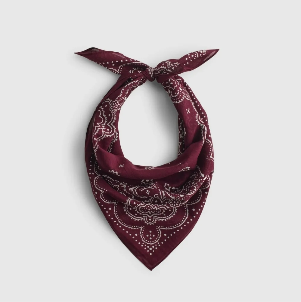 Madewell Organic Cotton Bandana - Picture 2 of 6